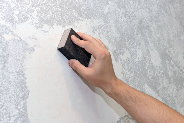 Best Real Estate Mold Inspection  in Milaca, MN