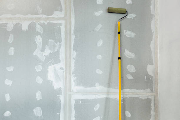 Trusted Milaca, MN Mold Removal Experts