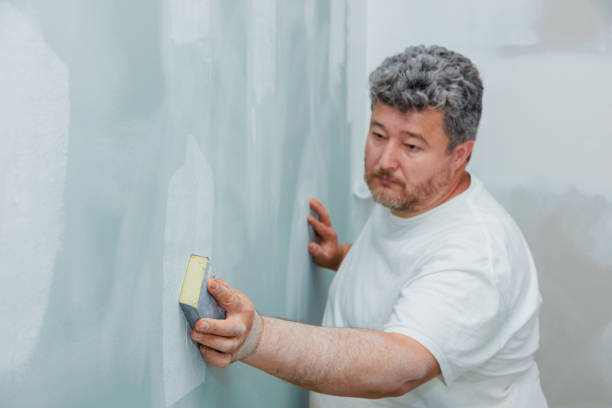 Best Dehumidification Services  in Milaca, MN