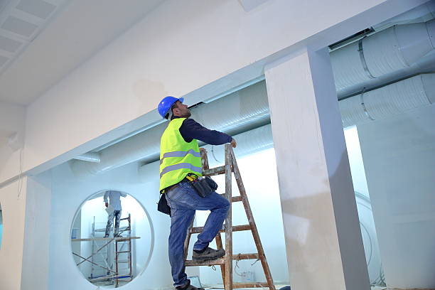 Best Basement Mold Removal  in Milaca, MN