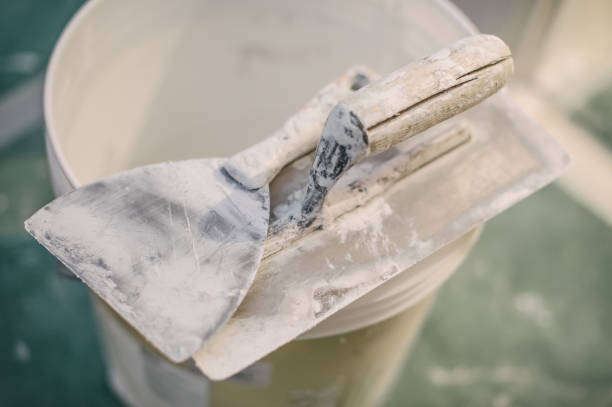 Best Environmental Consulting for Mold Prevention  in Milaca, MN