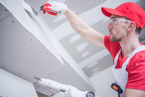 Best Commercial Mold Inspection  in Milaca, MN
