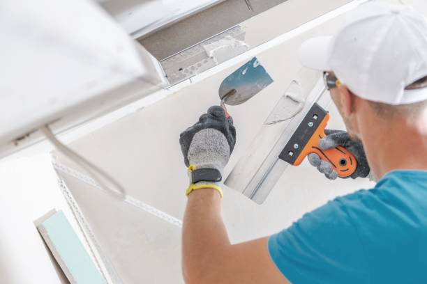 Best Attic Mold Removal  in Milaca, MN